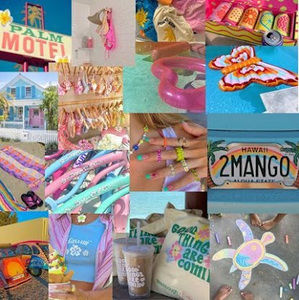 Meet your Posher, Desi